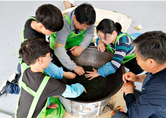 보성다향대축제 차 만들기