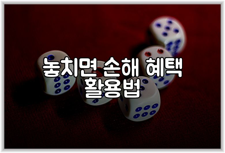 놓치면 손해 혜택 활용법