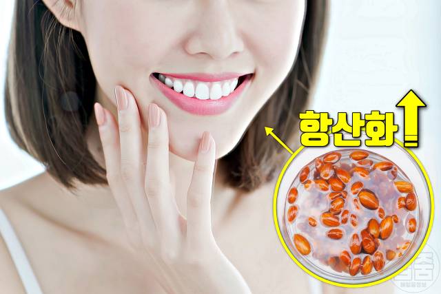 아몬드 물에 불리기 아몬드 물에 불리는 시간 아몬드효능 항산화