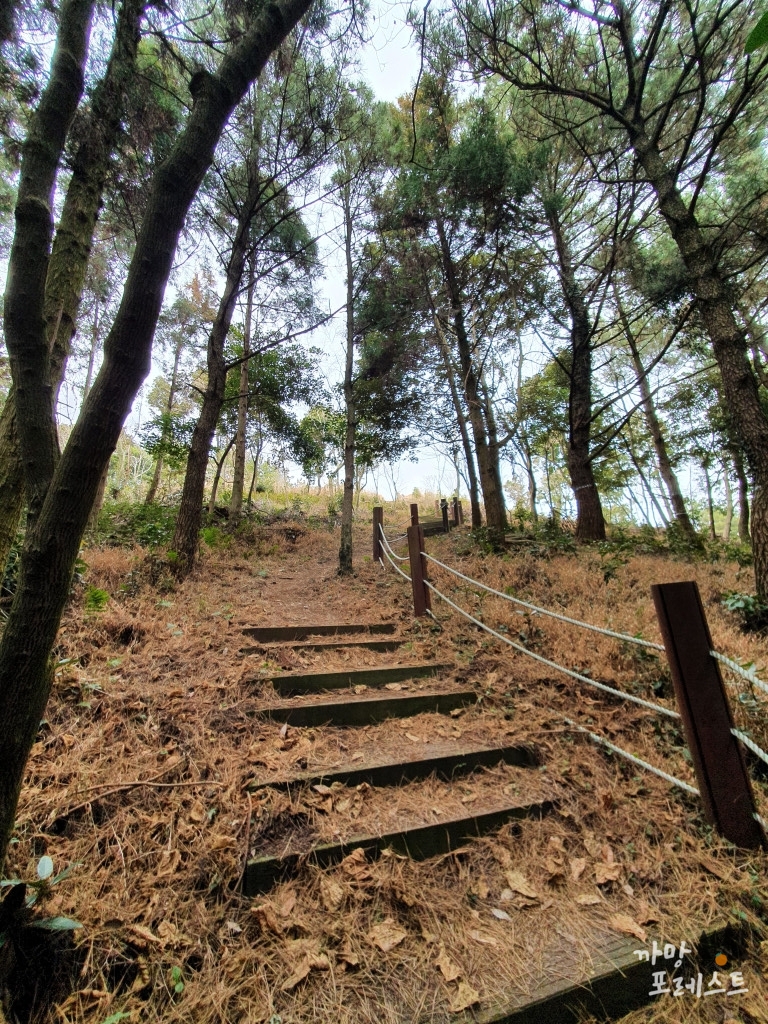 대왕산 정상 직전