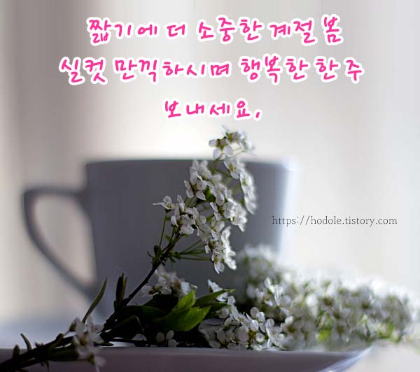 아침인사로-좋은글