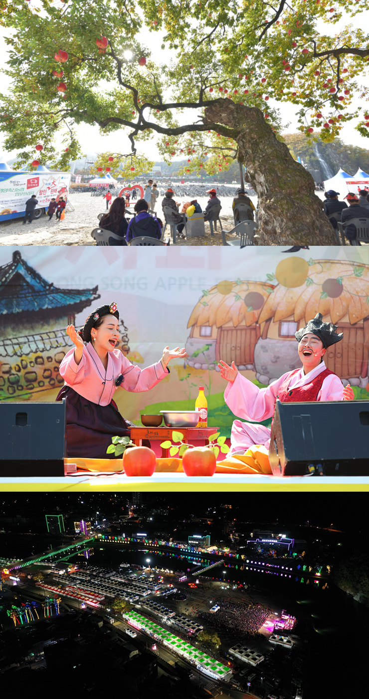 청송사과축제