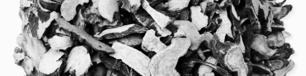 이른 경우 3~4년 내 뿌리 수확 가능