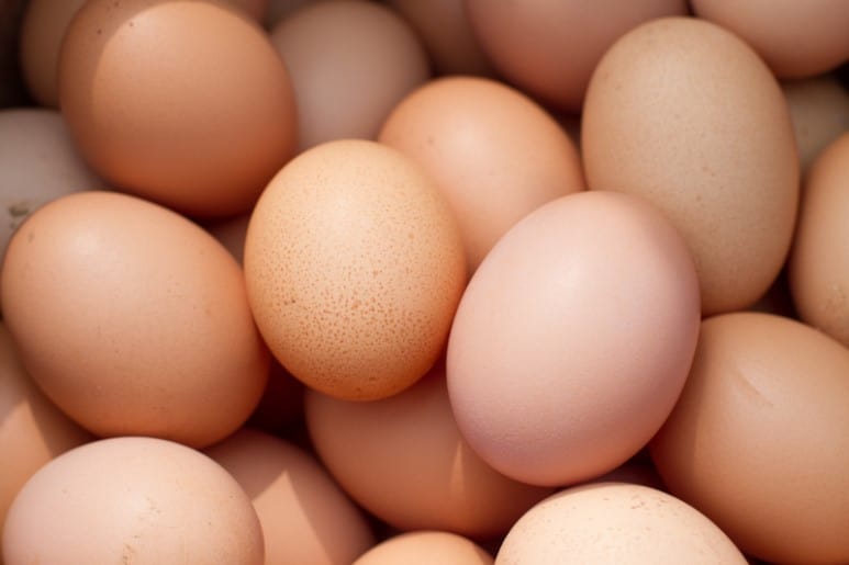 운동 후 먹으면 좋은 음식