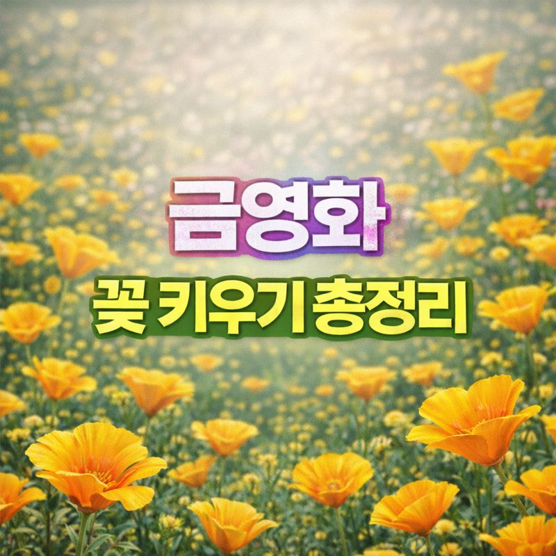 금영화(켈리포니아 양귀비) 키우기, 꽃말·물관리·파종시기·번식·분갈이·가지치기·월동 썸네일
