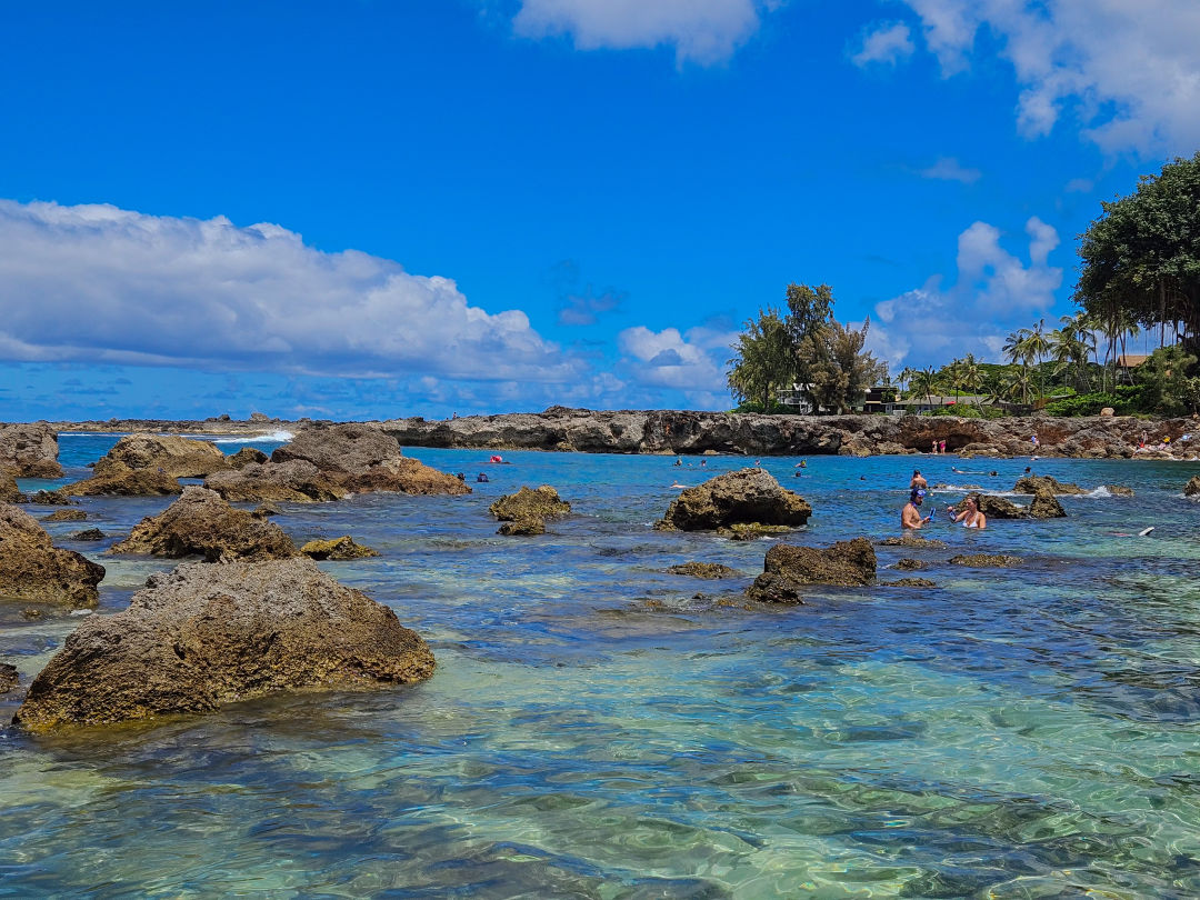 하와이 샥스코브