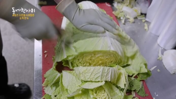 배추