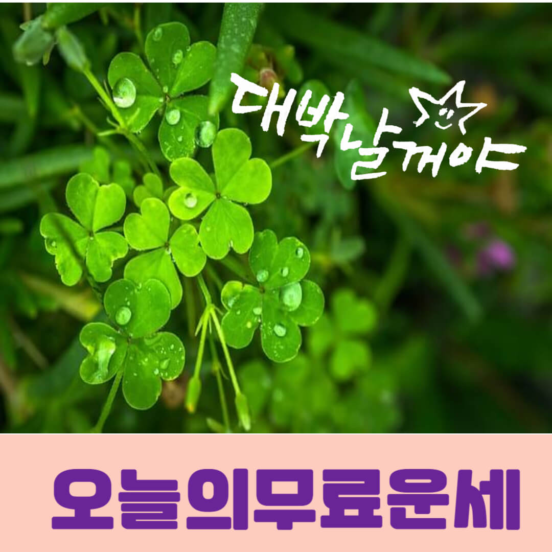 오늘의무료운세