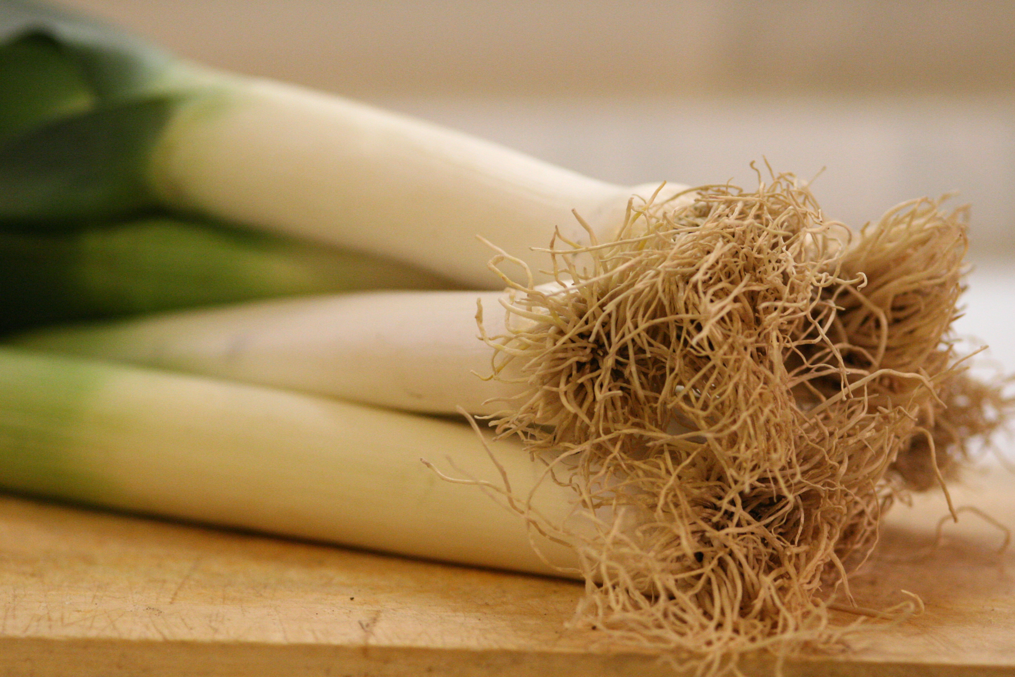 대파 보관법&amp;#44; 대파 효능에 대해 확실히 알려드릴게요. 냉동보관법