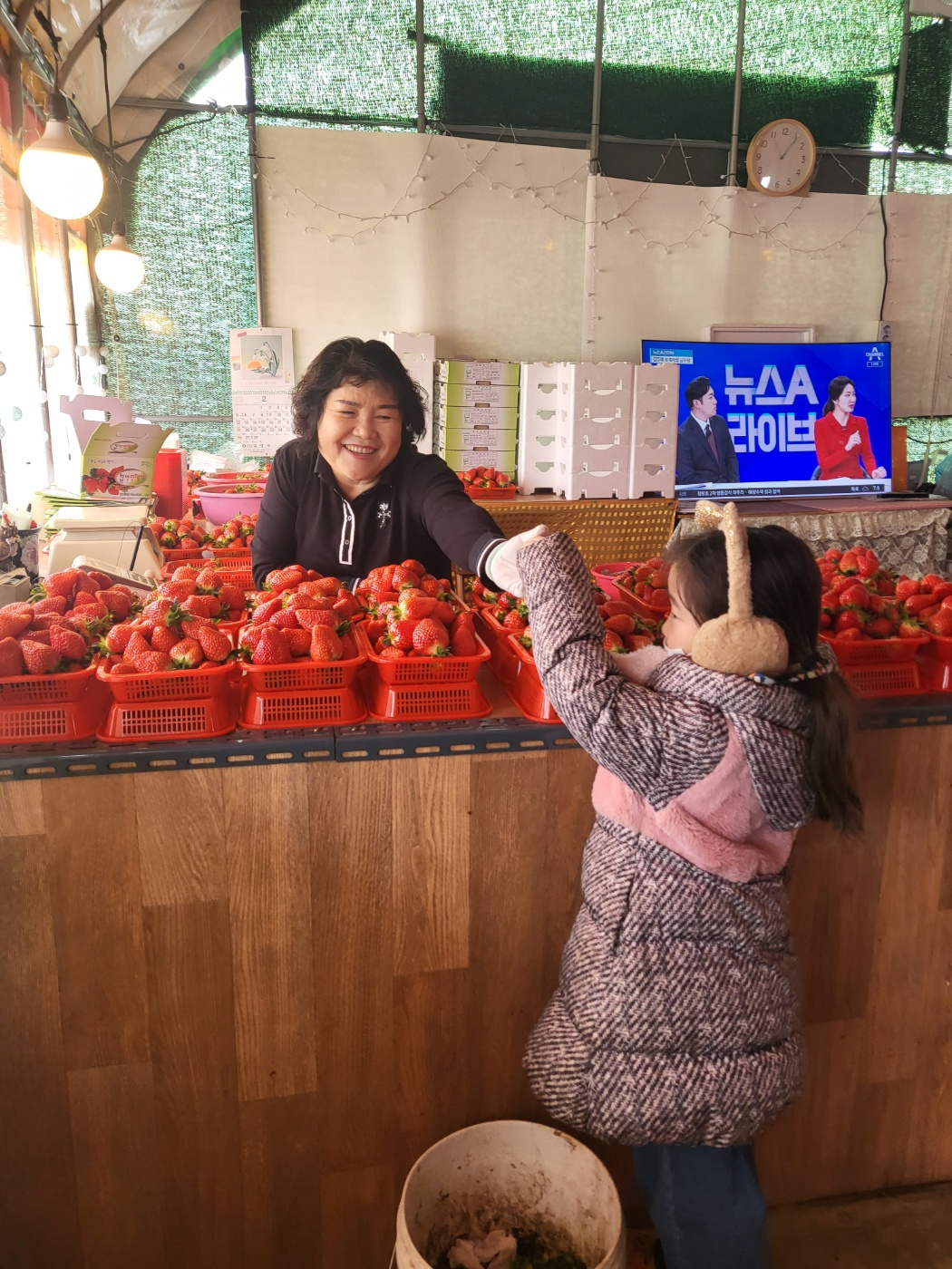 청주딸기&amp;#44; 남일면 가산리 딸기 (싱싱딸기)