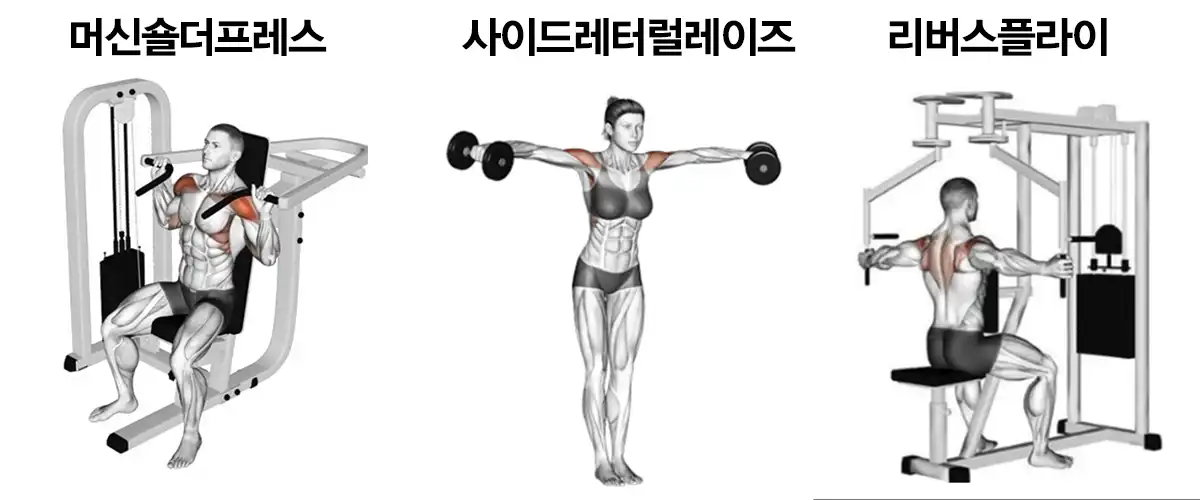 머신숄더프레스-사이드레터럴레이즈-리버스플라이-자세-동작