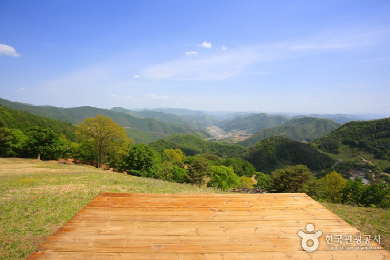 평창군 산너미목장 캠핑장 소개