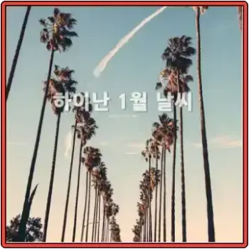 하이난 1월 날씨
