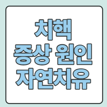 치핵-증상