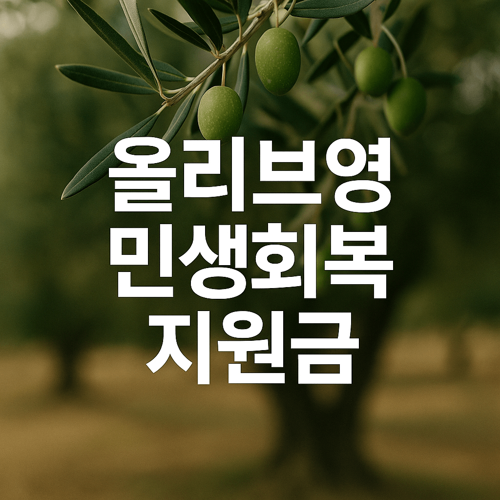 민생회복 소비쿠폰 올리브영