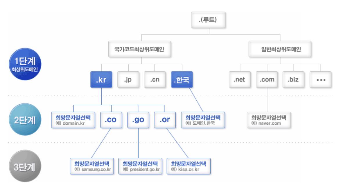 도메인