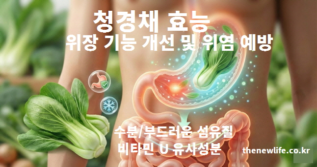 위장 기능 개선과 위염 예방에 도움을 주는 청경채 효능 설명 이미지