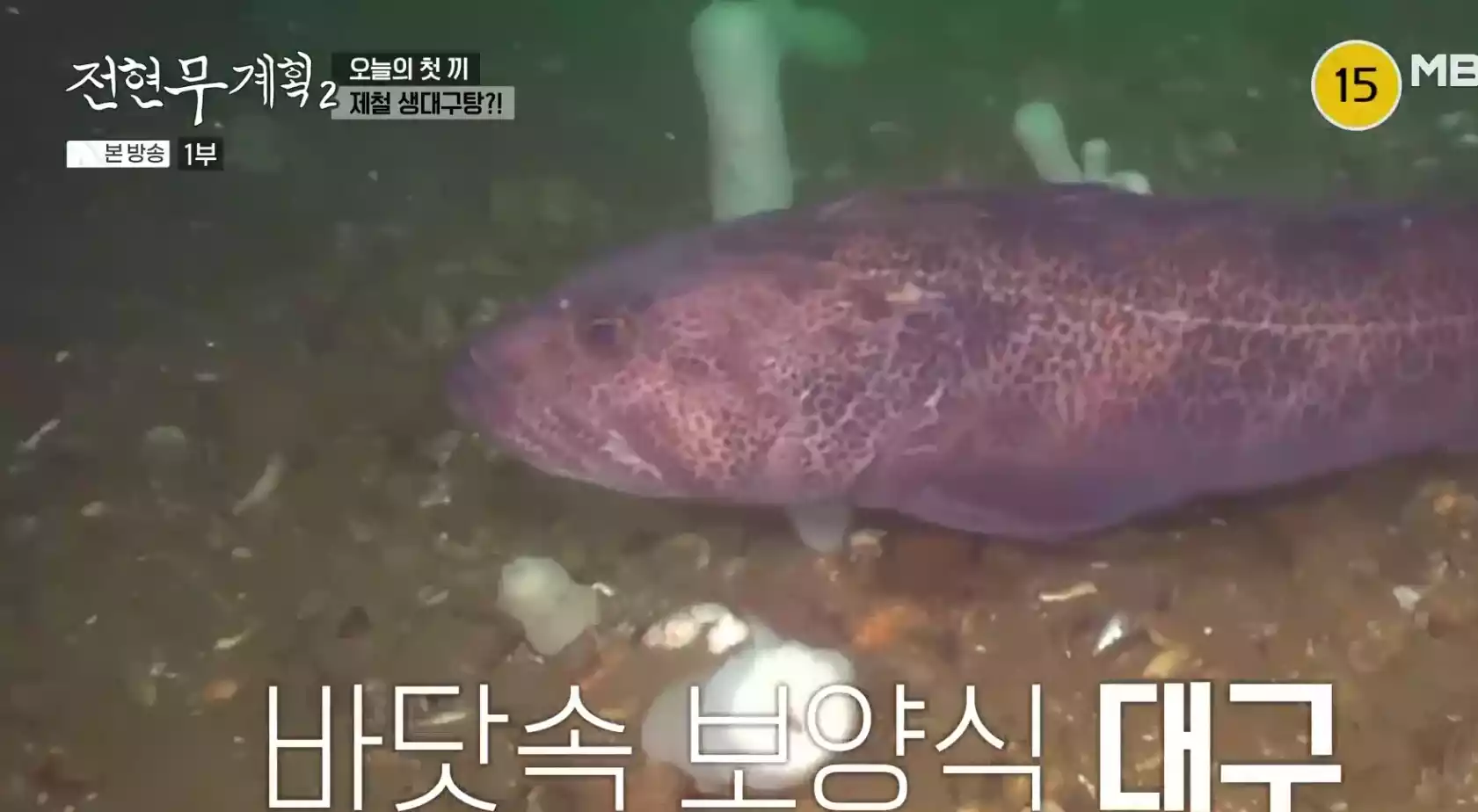 대구