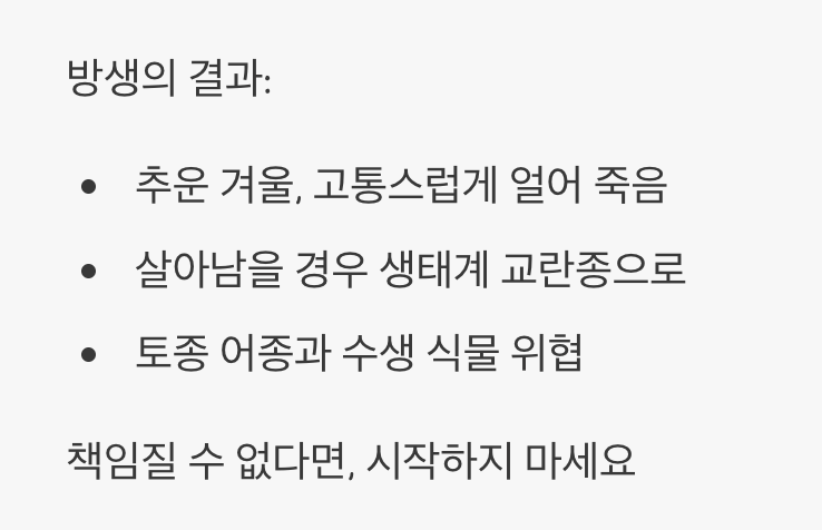 무책임한 방생&amp;#44; 생태계의 교란자