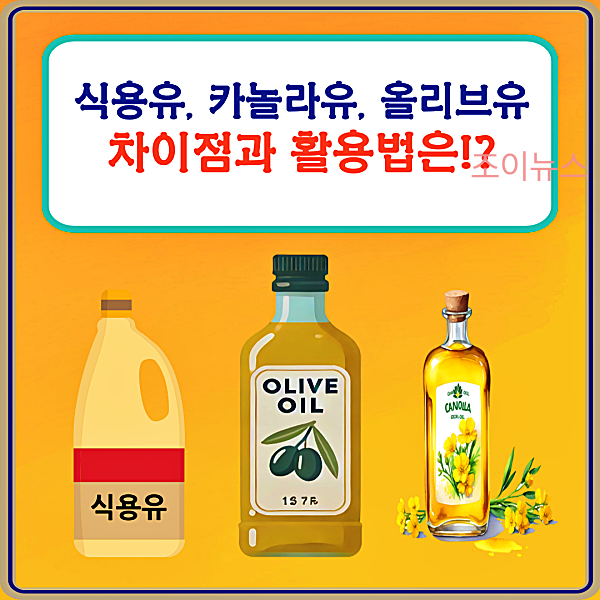 식용유, 카놀라유, 올리브유의 차이점과 활용법은?