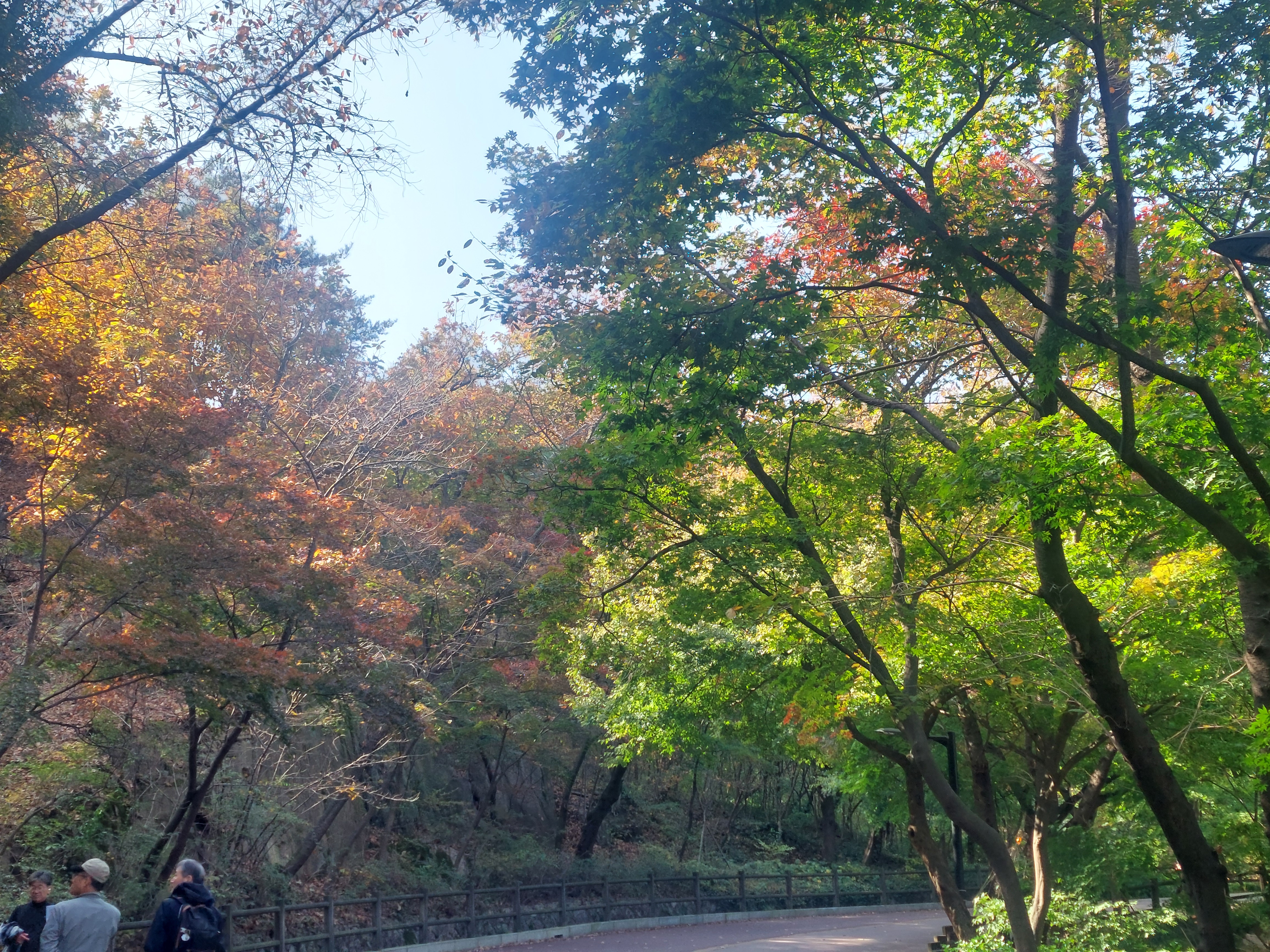 남산