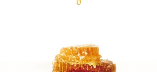 프로폴리스 이미지