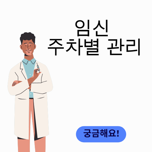 임신 주차별 관리 썸네일