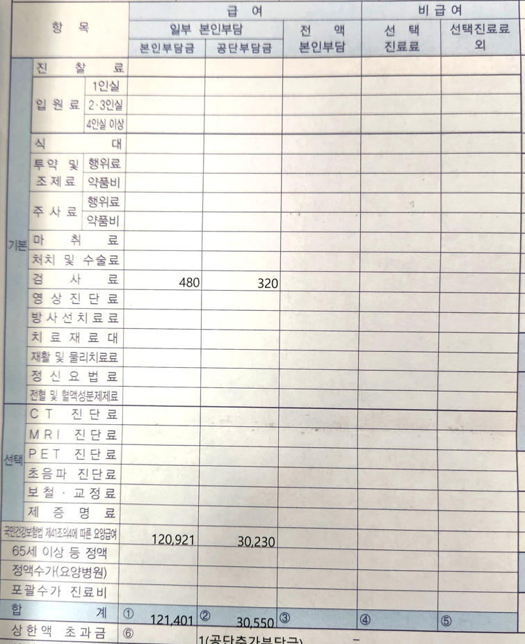 48시간 초과 심전도 검사 비용
