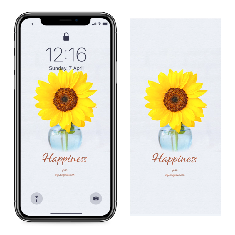 01 해바라기 꽃병 C - Happiness 돈들어오는배경화면