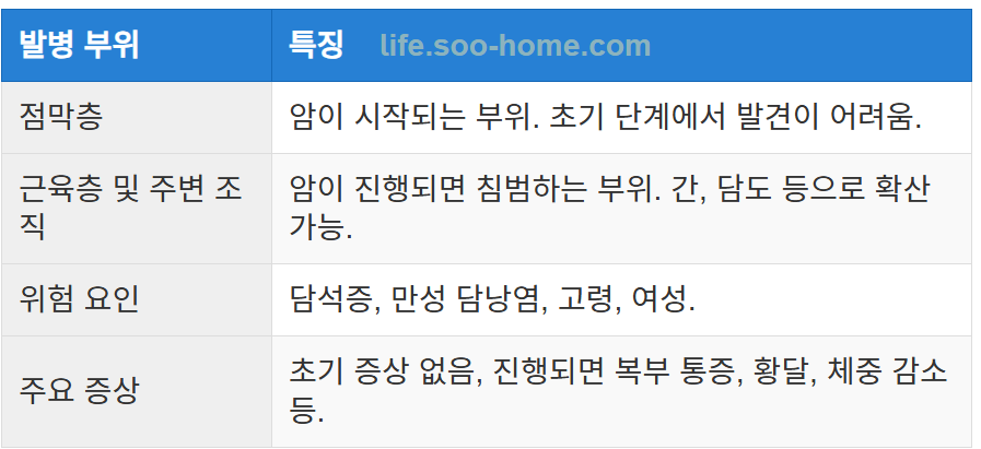 담낭암의 발병 위치와 특징