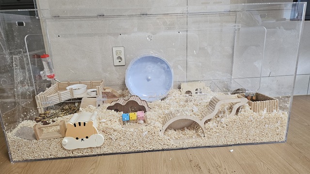 골든햄스터 케이지 크기 120cm 사육 환경