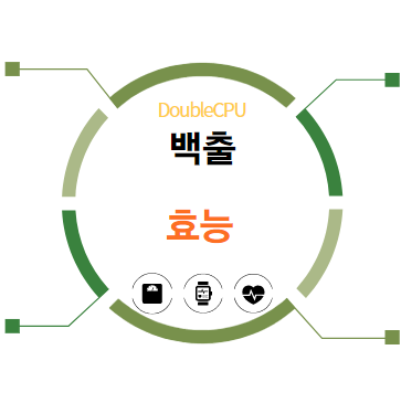 백출 효능 알아보기