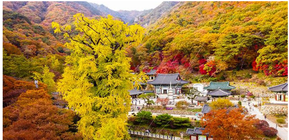 용문산 가을풍경