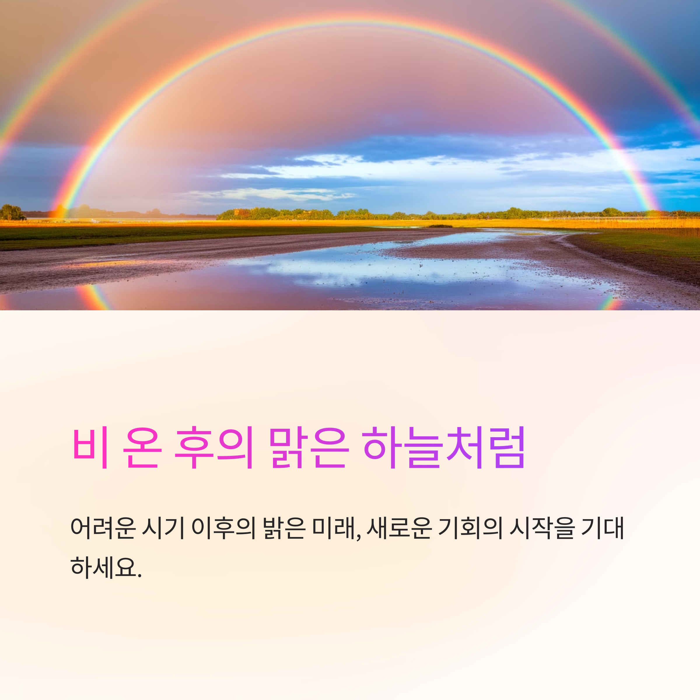 비 오는 꿈