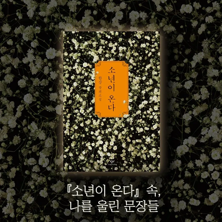 노벨문학상 한강 작품 소년이 온다