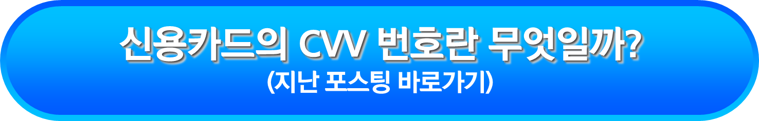 신용카드의 CVV 번호란 무엇일까?