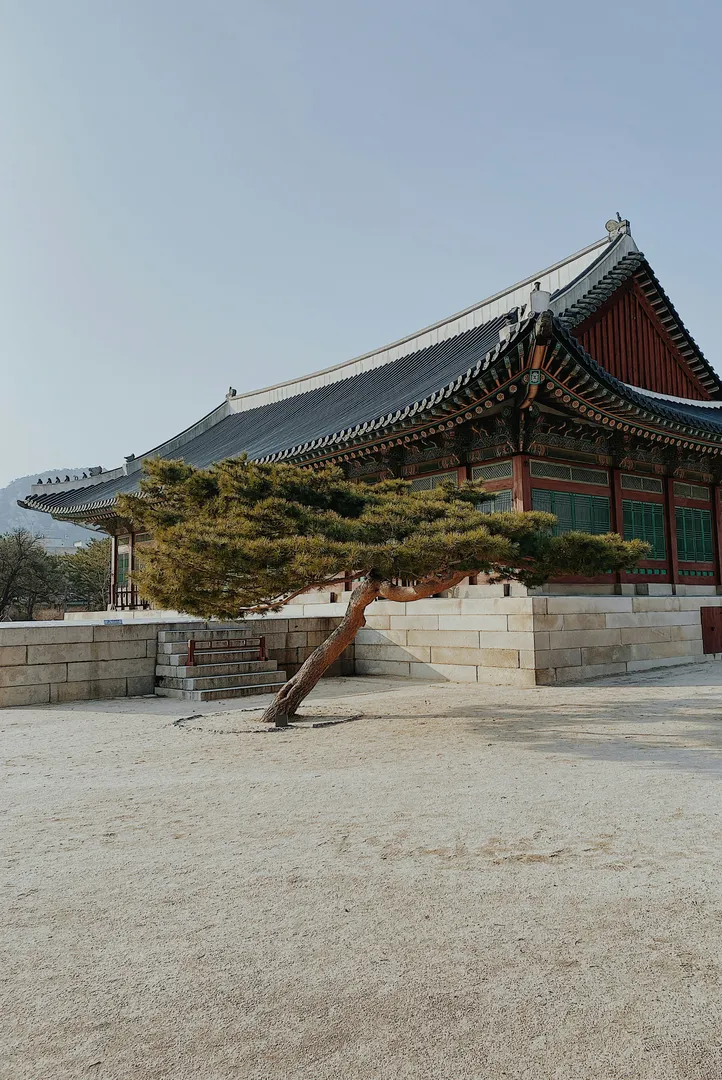 영월관광센터 정보 이미지