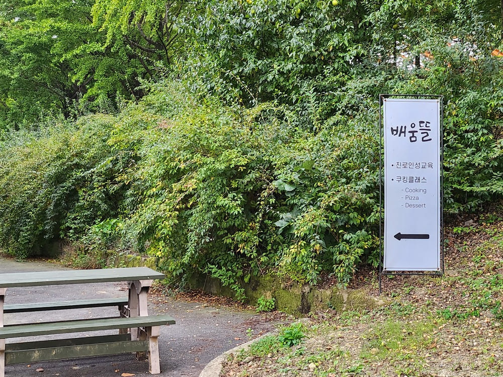 배움 뜰