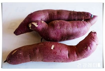 고구마 16