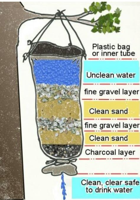 야생에서의 물 찾기와 정화 방법
