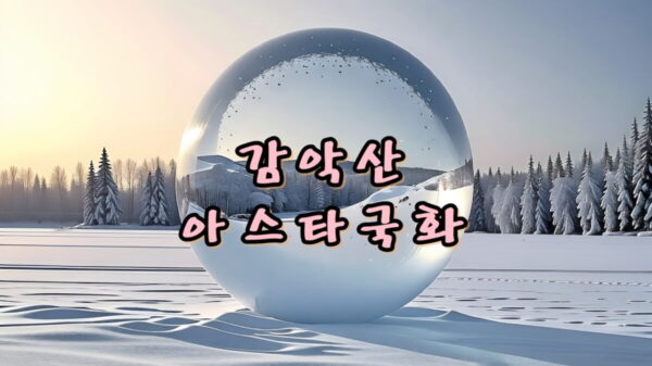 거창 감악산 아스타국화 썸네일