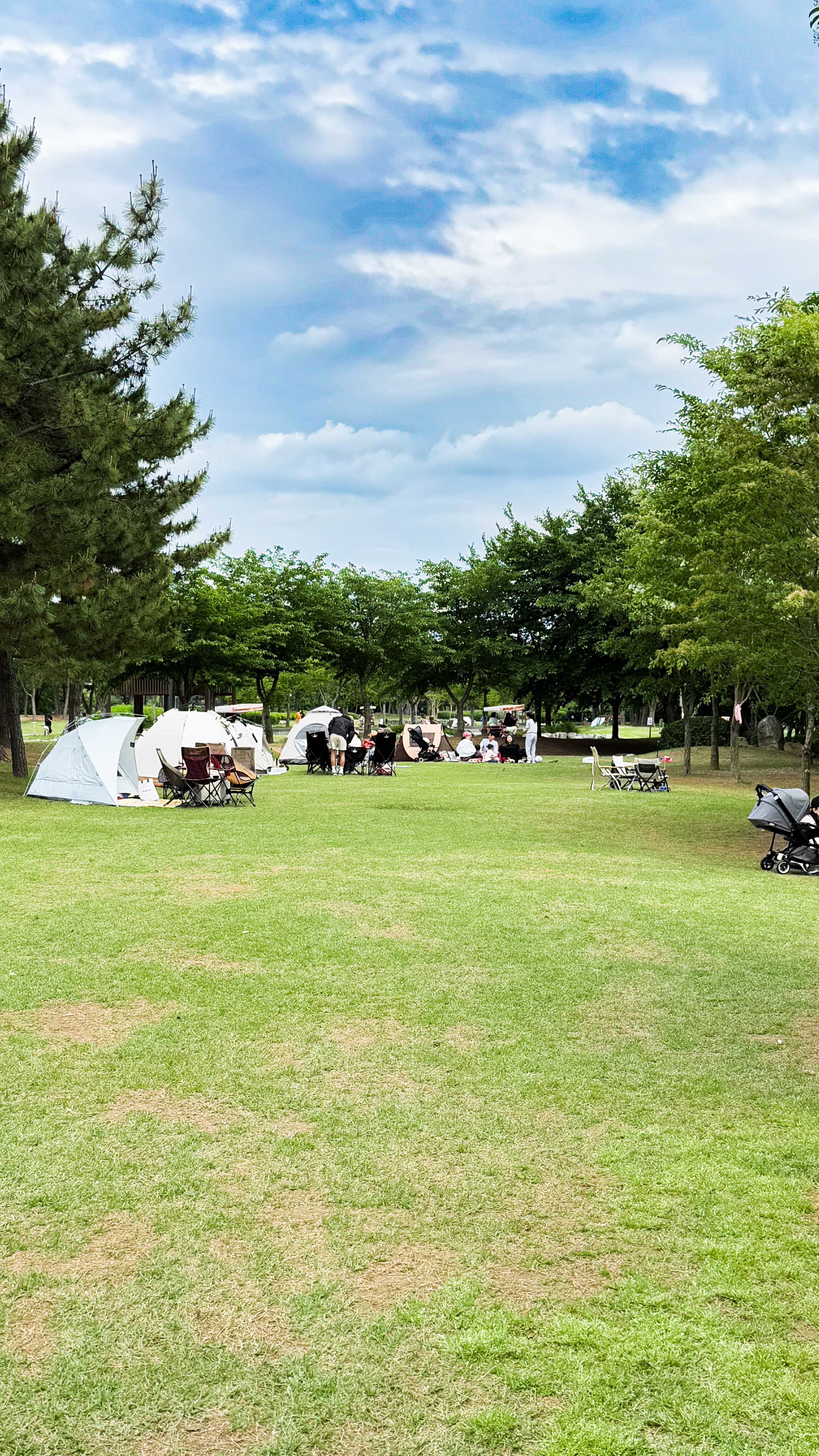 시흥갯골생태공원_피크닉존