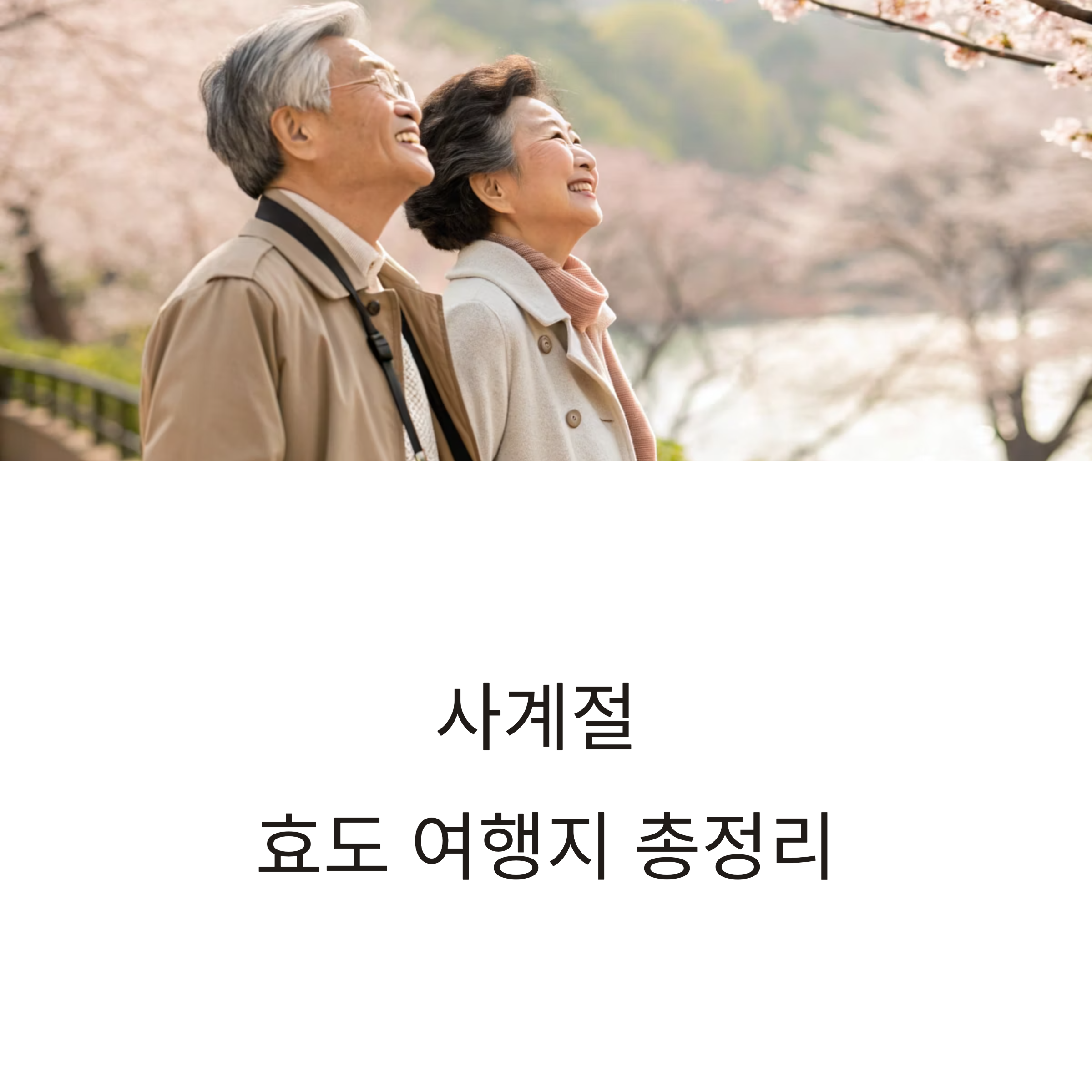 계절별 추천 효도 패키지 여행지