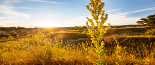 청년도약계좌 은행별 금리
