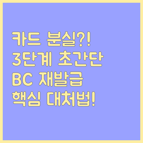 BC카드 분실신고 및 재발급 절차 신..