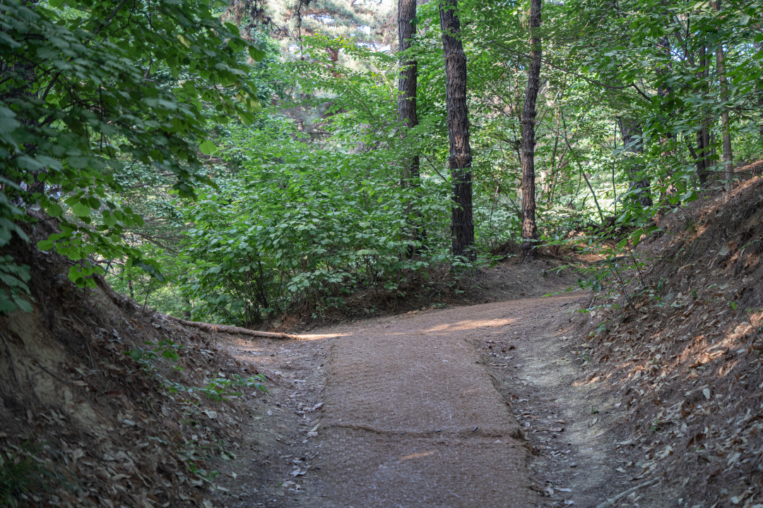 숙지산 올라가는길