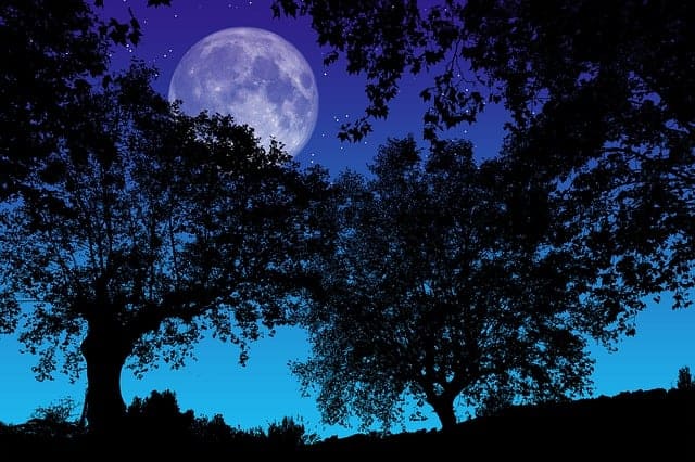 양양 가볼만한 곳