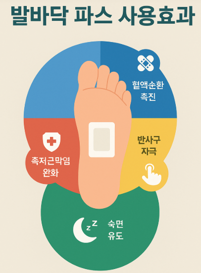 어르신 발바닥 파스 추천, 도대체 파프를 붙이면 전신에 어떤 효과가 있을까?