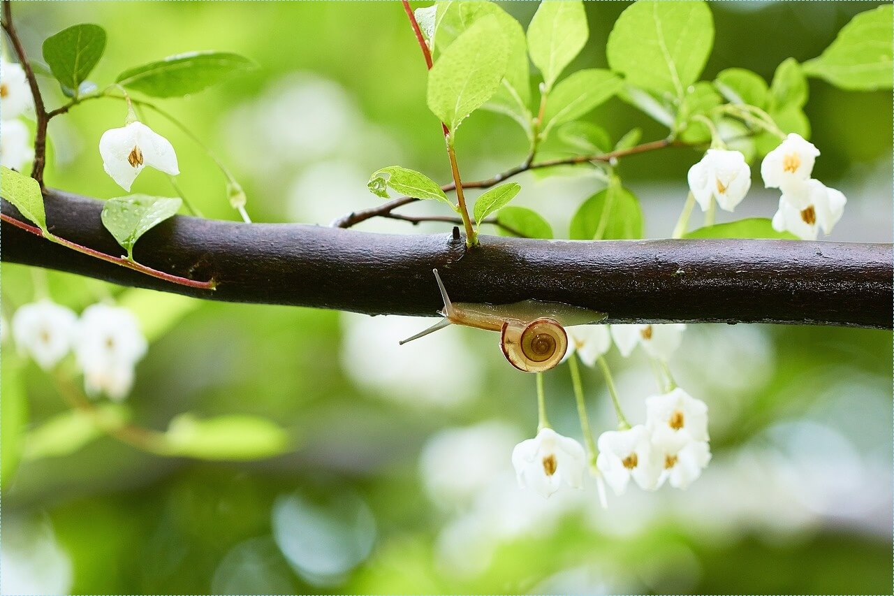 새마을금고 적금 이율