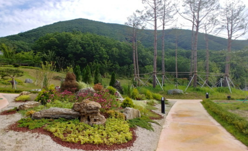 자연휴양림 BEST 5 2023년 신축